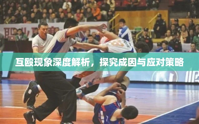 互殴现象深度解析，探究成因与应对策略