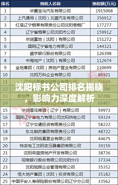 沈阳标书公司排名揭晓，影响力深度解析