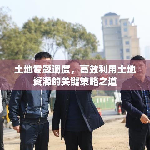 土地专题调度，高效利用土地资源的关键策略之道