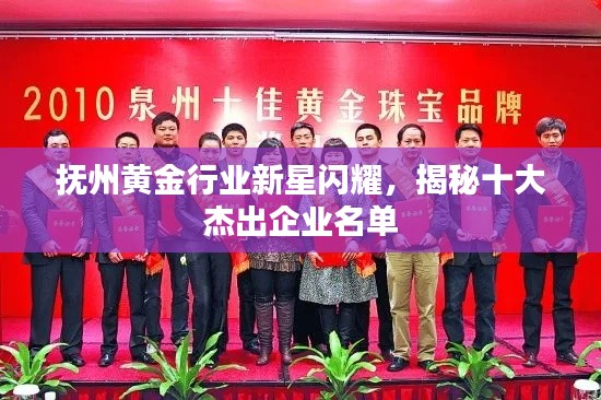 抚州黄金行业新星闪耀，揭秘十大杰出企业名单