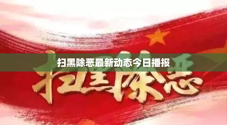扫黑除恶最新动态今日播报