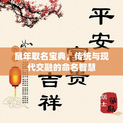 鼠年取名宝典，传统与现代交融的命名智慧