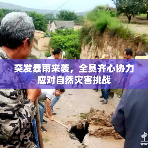 突发暴雨来袭，全员齐心协力应对自然灾害挑战