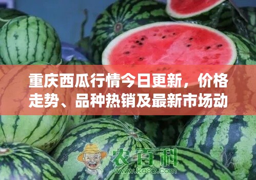 重庆西瓜行情今日更新，价格走势、品种热销及最新市场动态