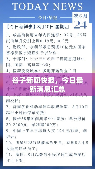 谷子新闻快报，今日最新消息汇总