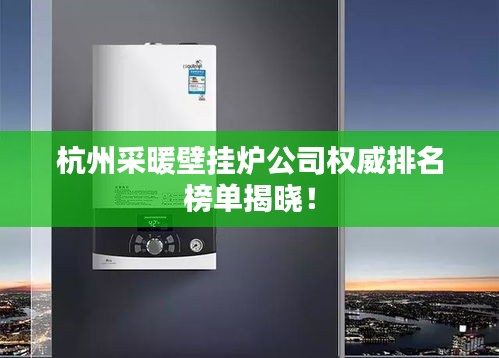 杭州采暖壁挂炉公司权威排名榜单揭晓！