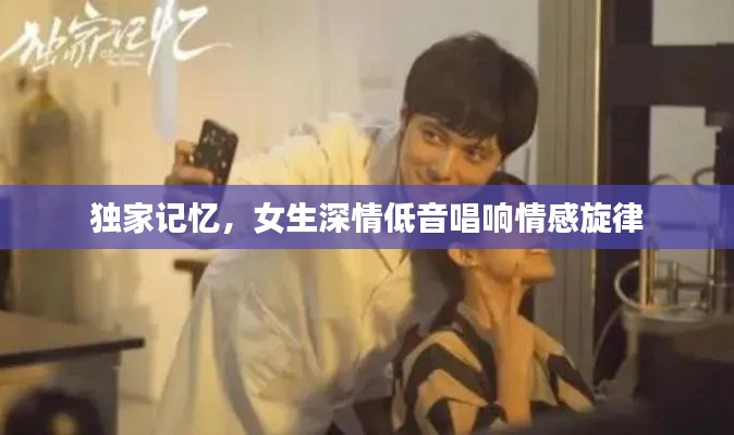 翰飞戾天
