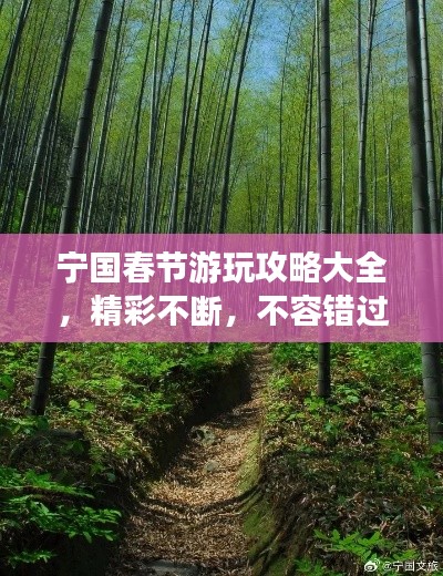 2025年5月6日 第3页
