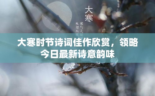 尽心尽力