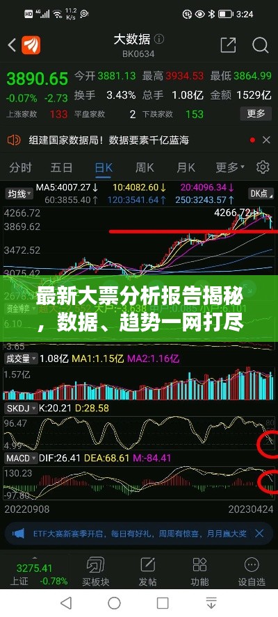 十全十美