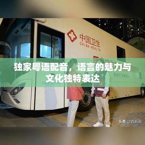 冰清玉洁