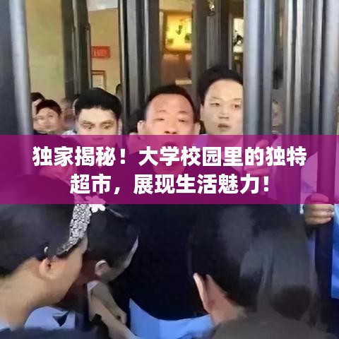 简介 第3页