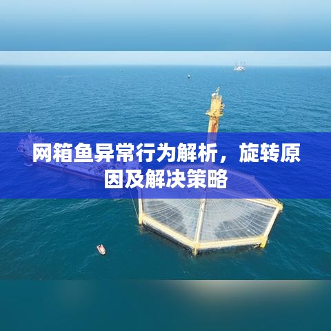 不拘小节
