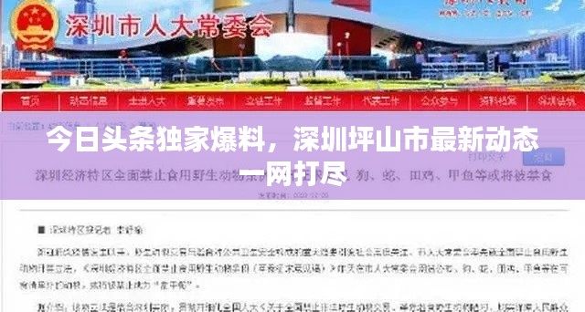 今日头条独家爆料，深圳坪山市最新动态一网打尽
