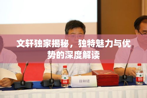 文轩独家揭秘，独特魅力与优势的深度解读