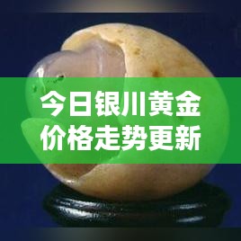 今日银川黄金价格走势更新，最新行情一览