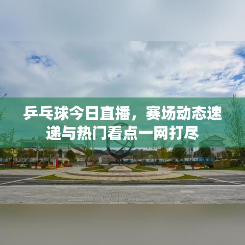 乒乓球今日直播，赛场动态速递与热门看点一网打尽