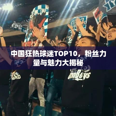中国狂热球迷TOP10，粉丝力量与魅力大揭秘