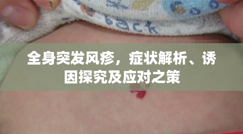 全身突发风疹，症状解析、诱因探究及应对之策