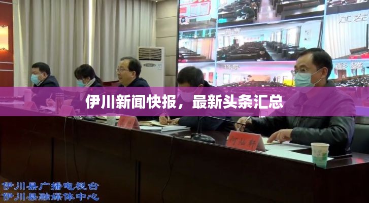 伊川新闻快报，最新头条汇总