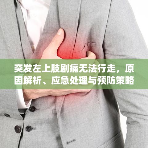 2025年6月11日