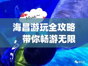 海昌游玩全攻略，带你畅游无限乐趣的海底世界