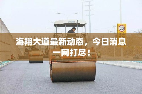 海翔大道最新动态，今日消息一网打尽！