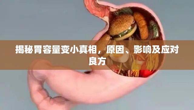 揭秘胃容量变小真相，原因、影响及应对良方