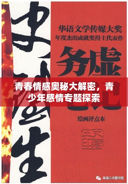 青春情感奥秘大解密，青少年感情专题探索