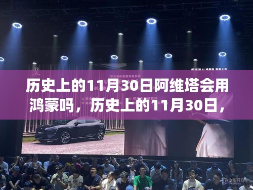 动态 第338页