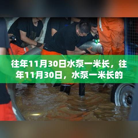 动态 第337页