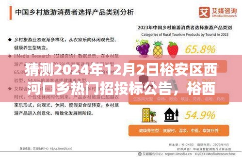 裕安区西河口乡热门招投标公告展望，深度评测与介绍，预测2024年12月2日动态