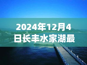 动态 第307页
