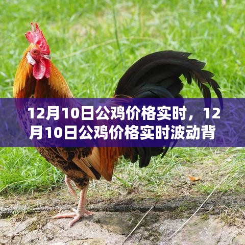 草草了事 第4页