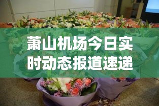 萧山机场今日实时动态报道速递