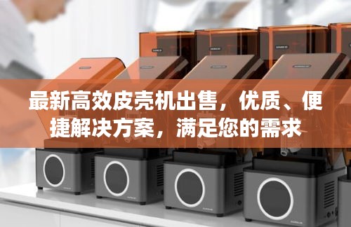 最新高效皮壳机出售，优质、便捷解决方案，满足您的需求